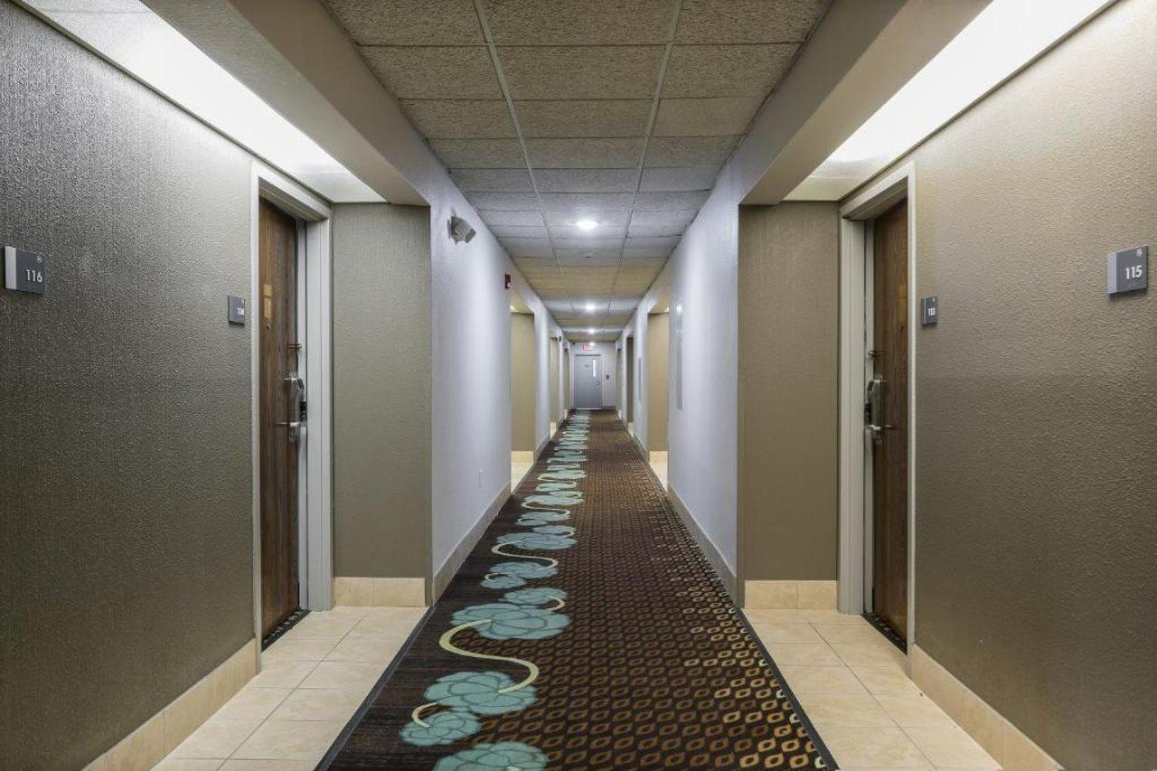 Bliss Point Inn & Suites New Buffalo Bagian luar foto